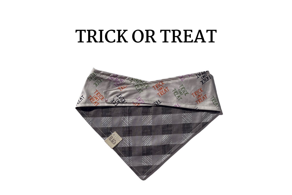 Trick or Treat Saying + Gray Plaid Reversible Tie/On Bandana