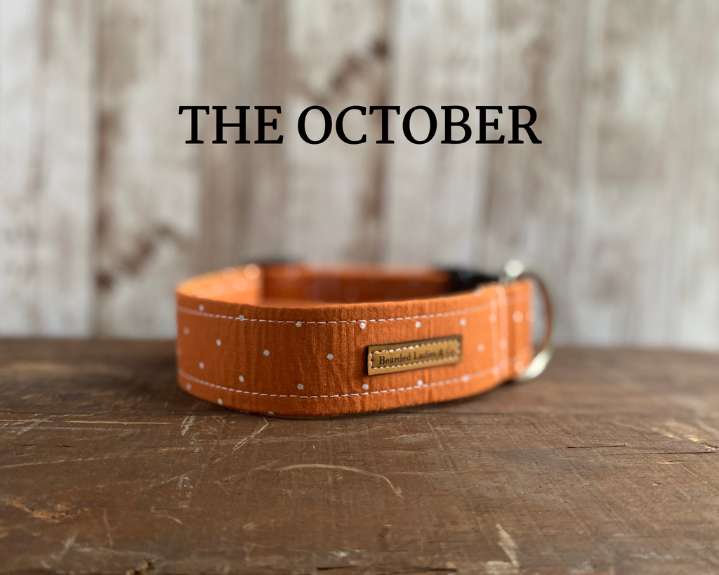 Orange + White Polka Dots Dog Collar