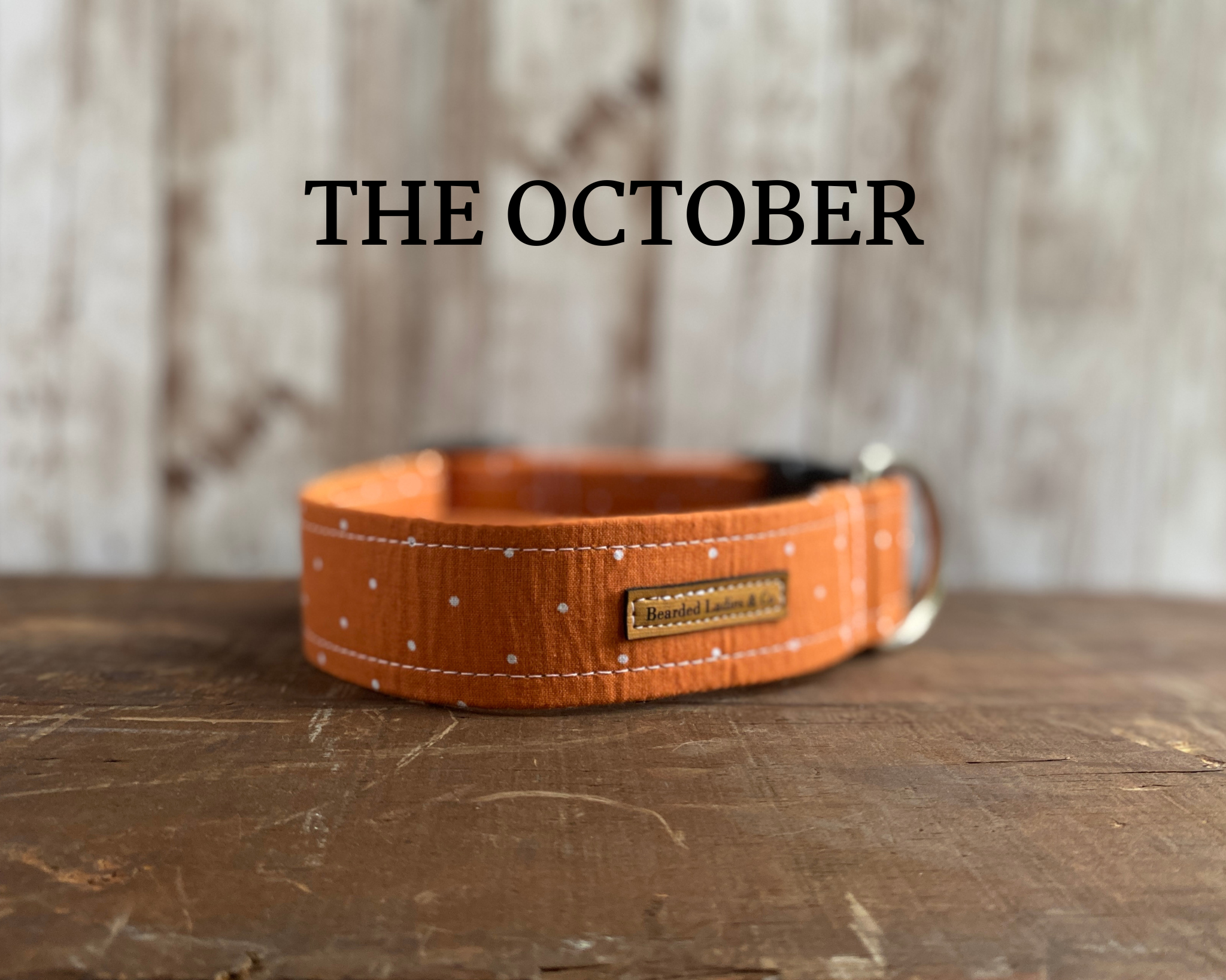 Orange + White Polka Dots Dog Collar