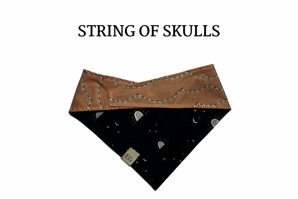 Strings of Skulls + Stars and Rainbows Reversible Tie/On Bandana