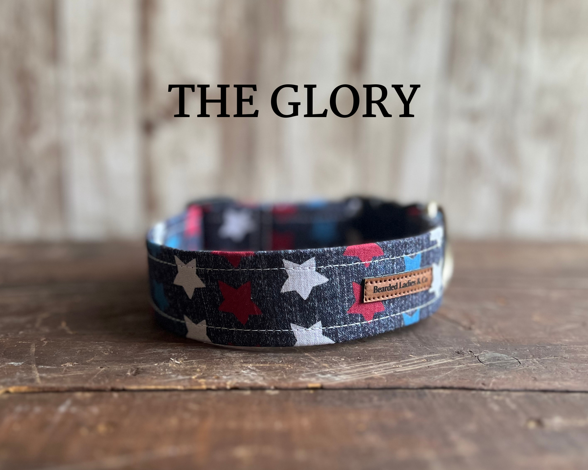 Large Stars on Distressed Denim Dog Collar