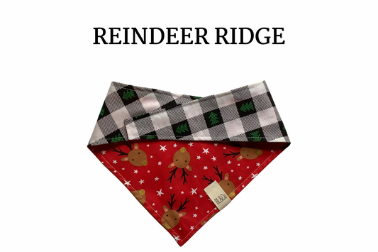 Reindeer & Black and White Check Reversible Tie/On Bandana