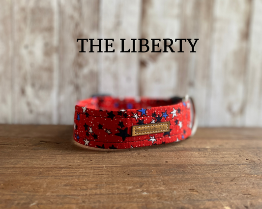 Red with Blue & White Stars Dog Collar