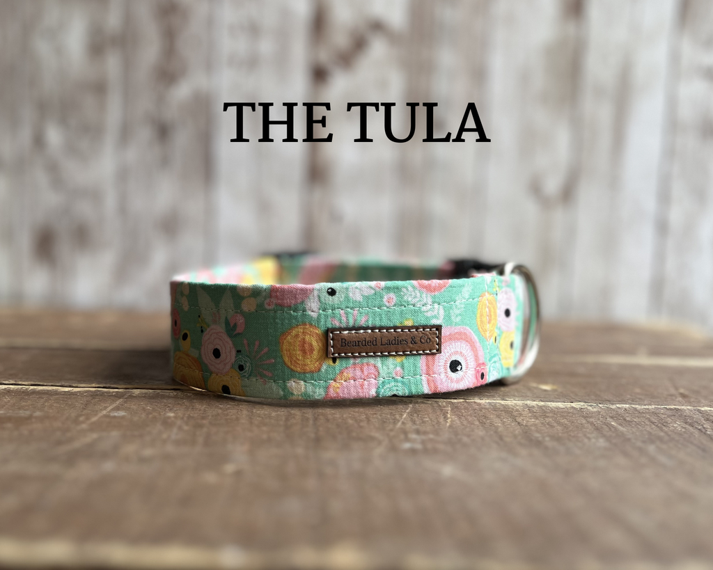 Pink, Yellow + Teal Flowers on Teal Dog Collar [The Tula]