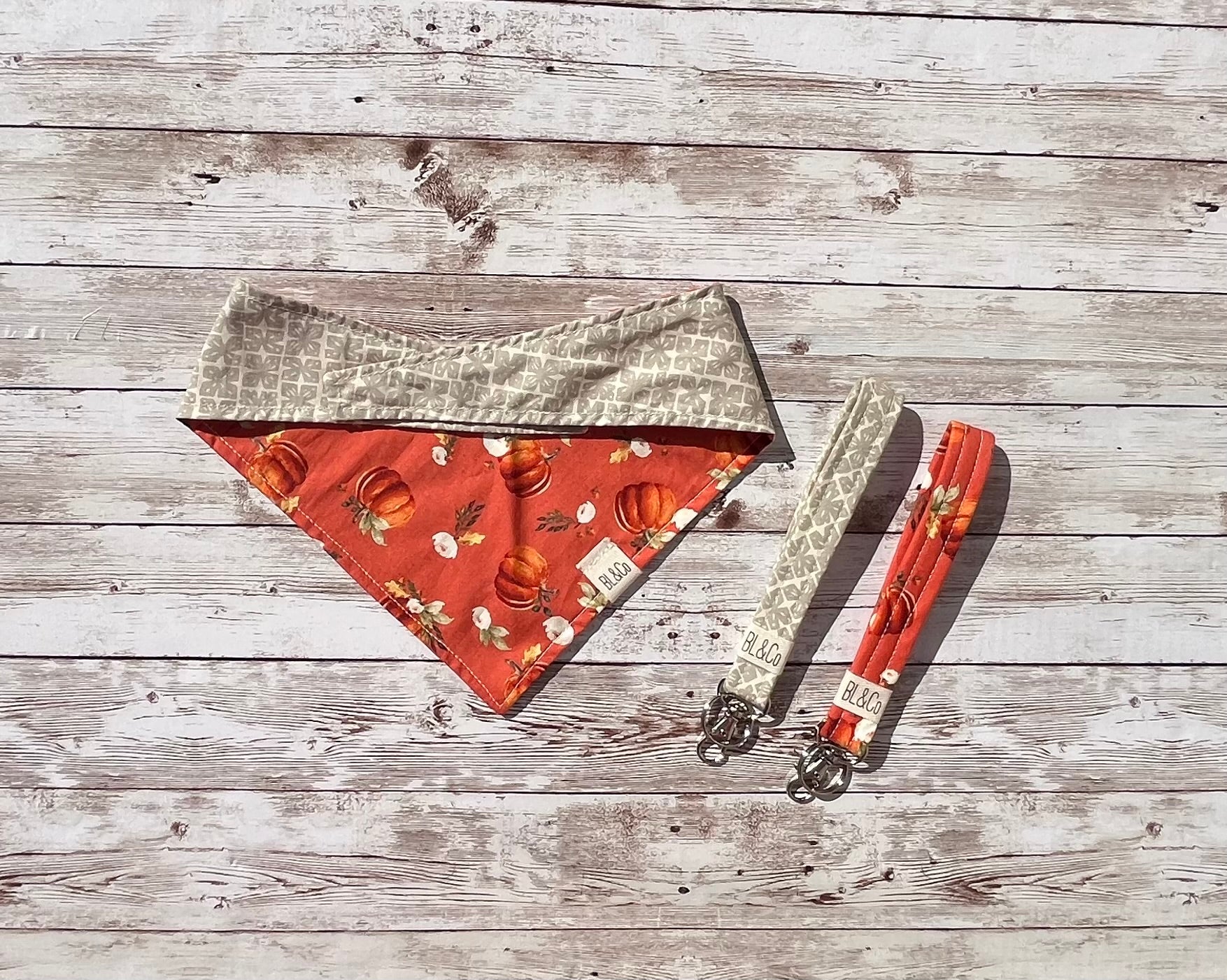 Plump Pumpkins & Flowers + Gray Stars Reversible Tie/On Bandana