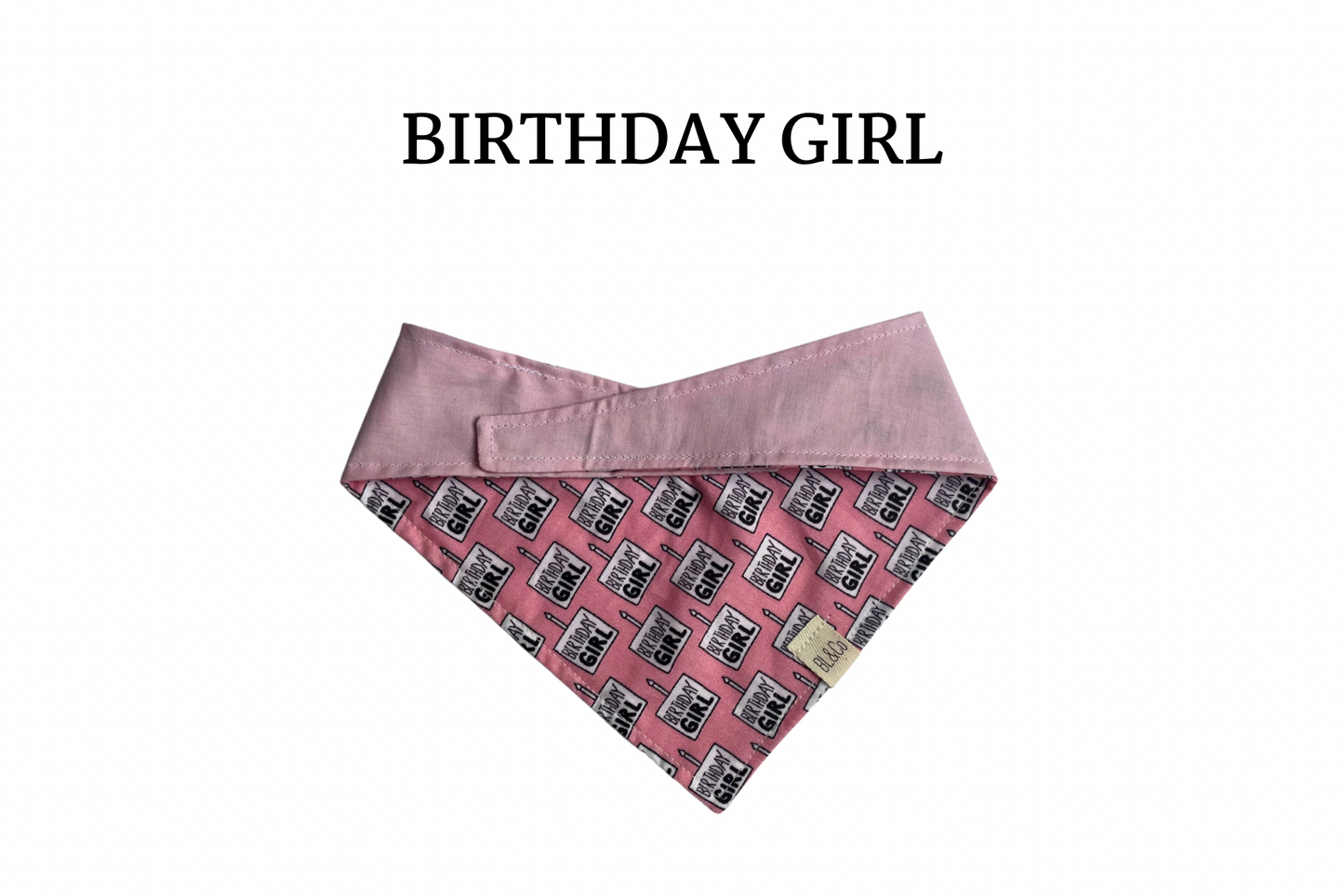 Birthday Girl Reversible Tie/On Bandana *