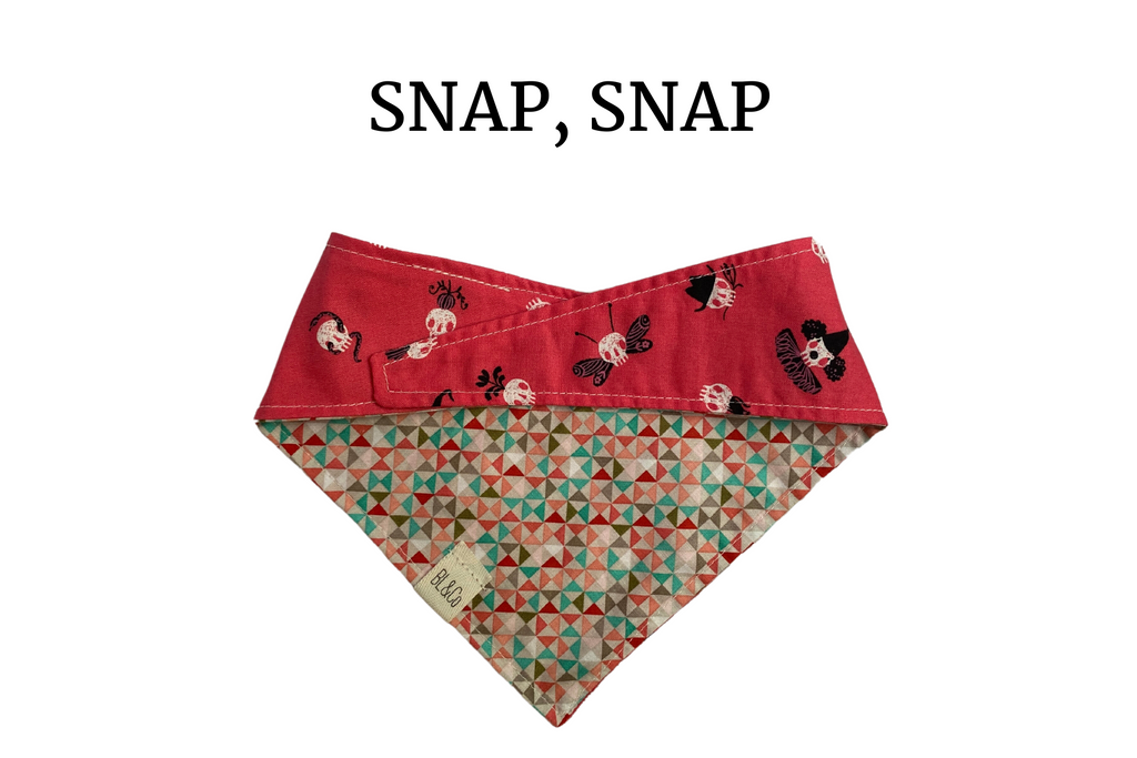 Vibrant Pink with Skulls + Tan, Teal & Pink Geo Reversible Tie/On Bandana*