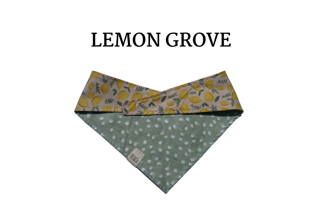 Neutral Lemons + Mint Polka Dot Reversible Tie/On Bandana