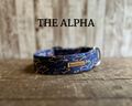 Colorful Sharks Dog Collar