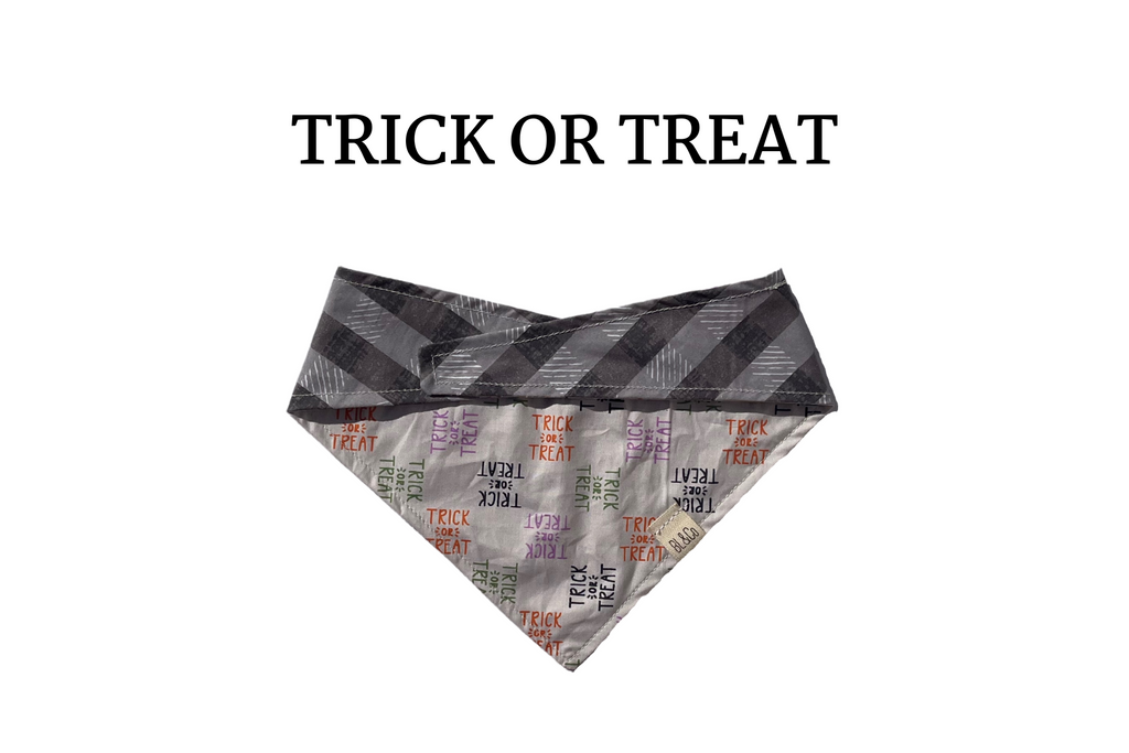 Trick or Treat Saying + Gray Plaid Reversible Tie/On Bandana