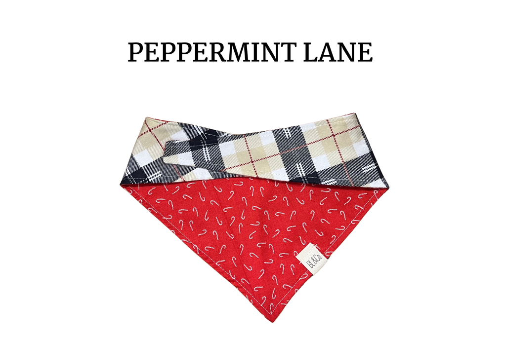 Cream & Navy Plaid + White Candy Canes on Red Reversible Tie/On Bandana