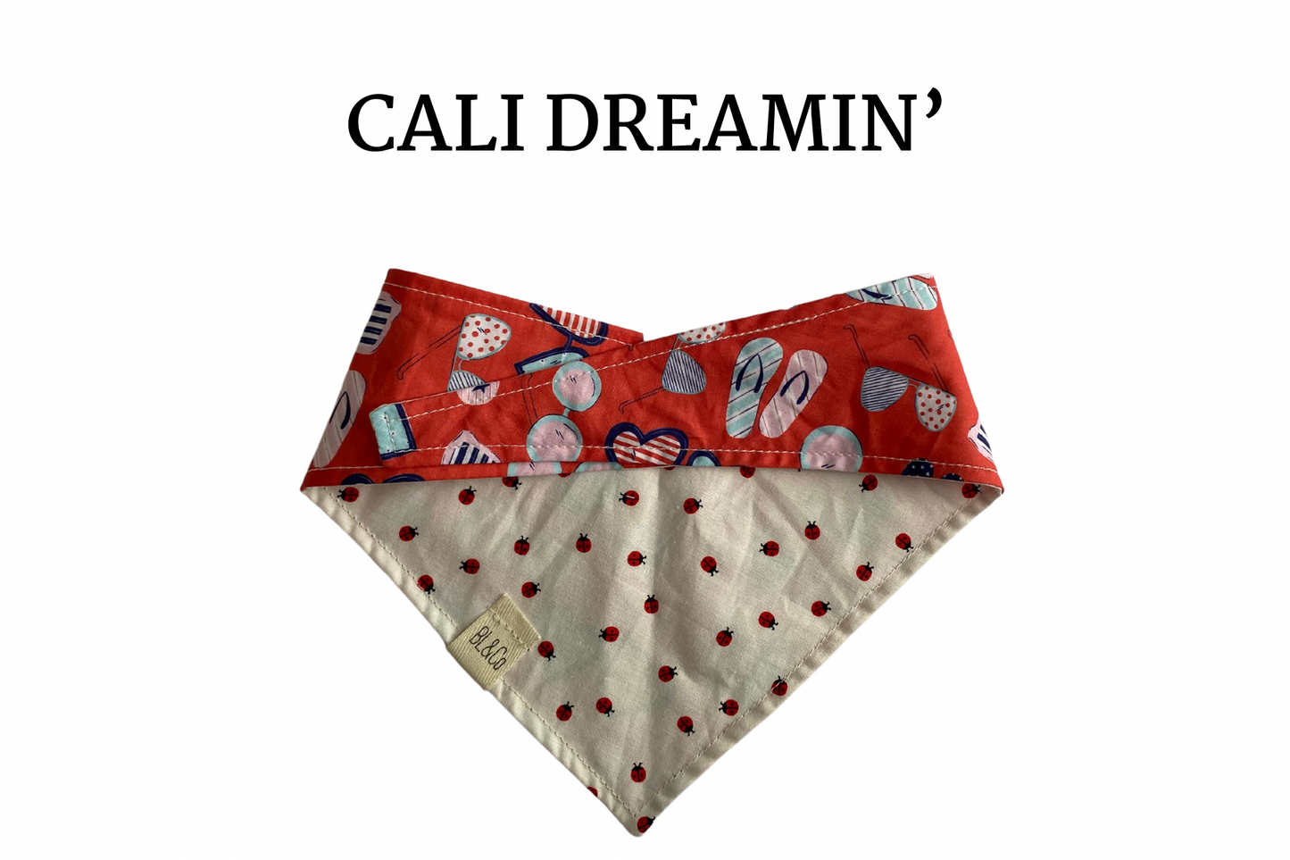 Red, White & Blue Flip Fops & Shades with Mini Lady Bugs Reversible Tie/On Bandana