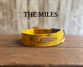 Spider Webs on Dark Yellow Dog Collar