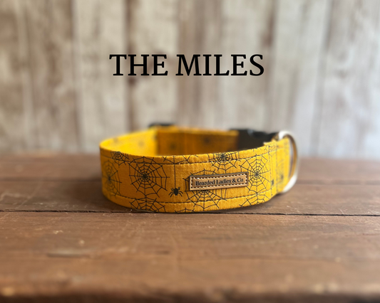 Spider Webs on Dark Yellow Dog Collar
