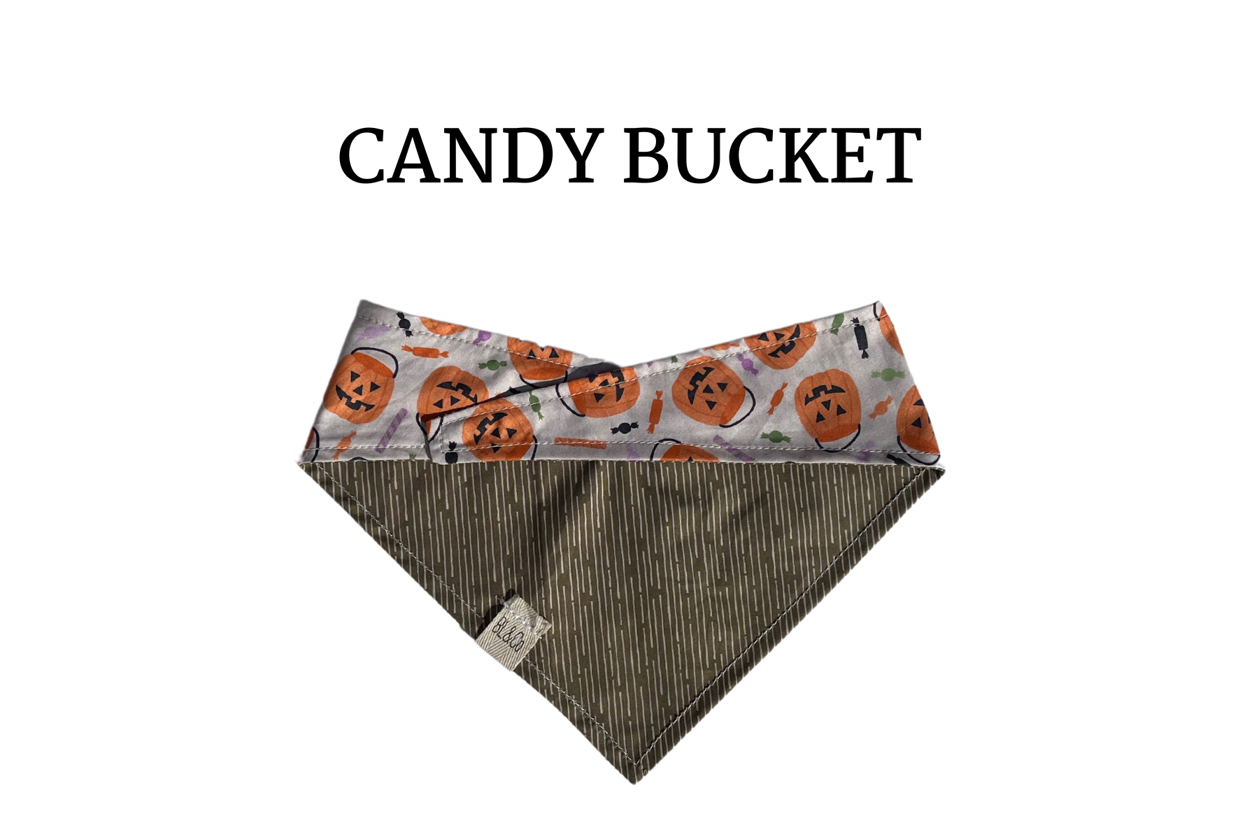 Pumpkin Buckets + Sage Green Reversible Tie/On Bandana
