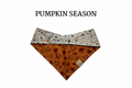 Pumpkins, Gourds and Leaves on  Orange + Halloween Speckles Reversible Tie/On Bandana
