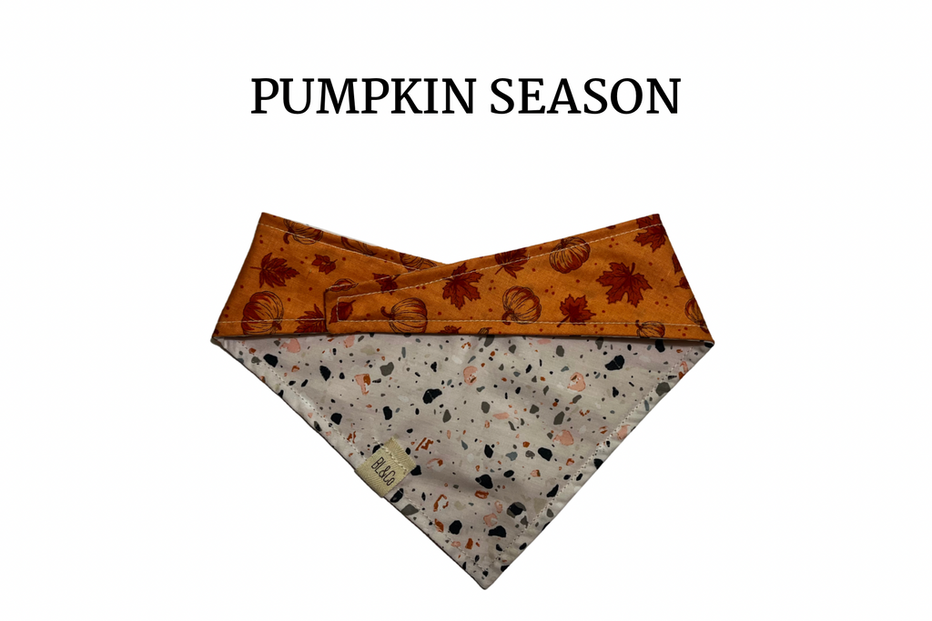 Pumpkins, Gourds and Leaves on  Orange + Halloween Speckles Reversible Tie/On Bandana
