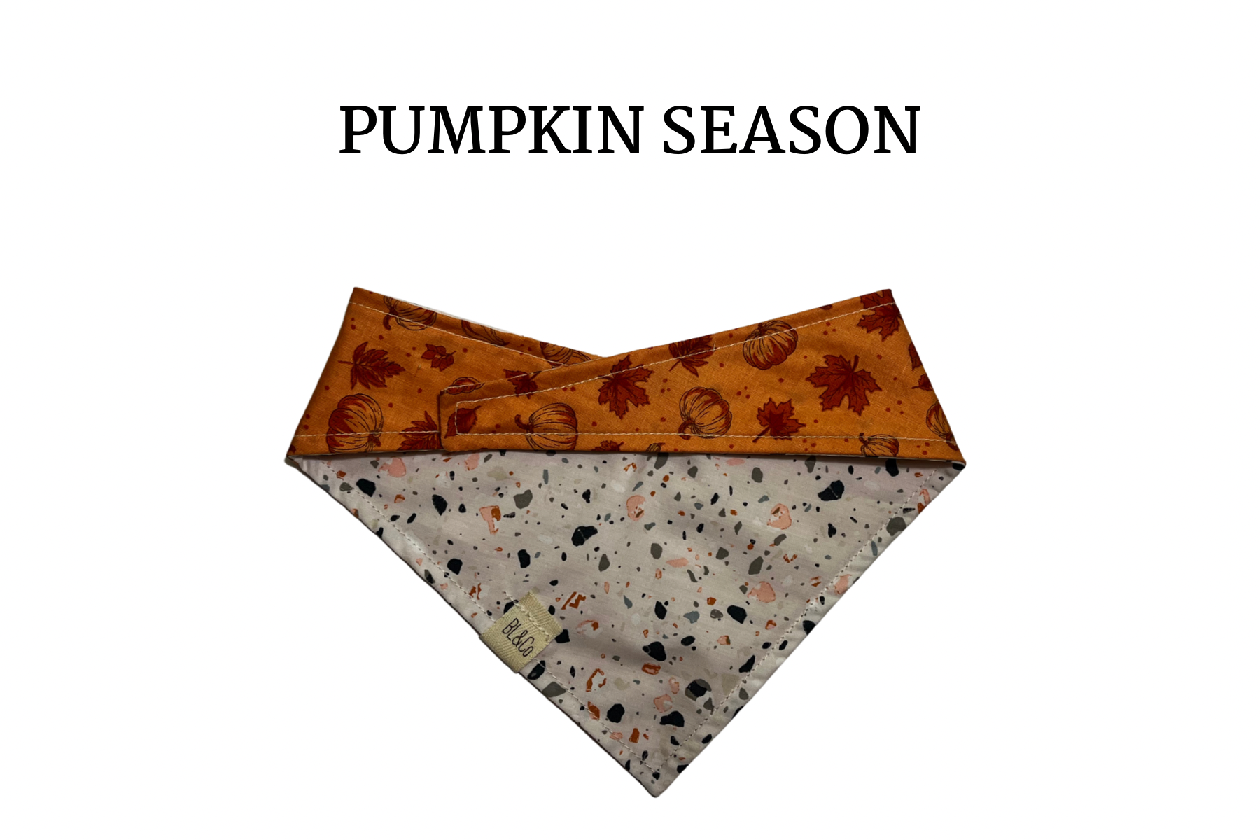 Pumpkins, Gourds and Leaves on  Orange + Halloween Speckles Reversible Tie/On Bandana