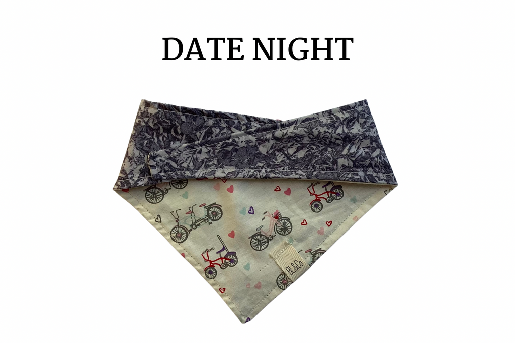 Bicycles with Hearts & Gray Reversible Tie/On Bandana