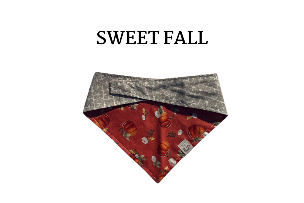 Plump Pumpkins & Flowers + Gray Stars Reversible Tie/On Bandana