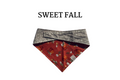 Plump Pumpkins & Flowers + Gray Stars Reversible Tie/On Bandana