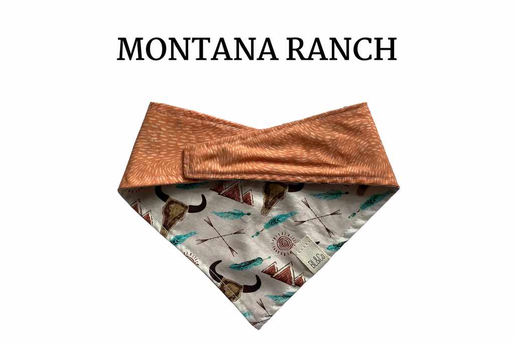 Longhorns with Feathers & Light Orange Reversible Tie/On Bandana ‘