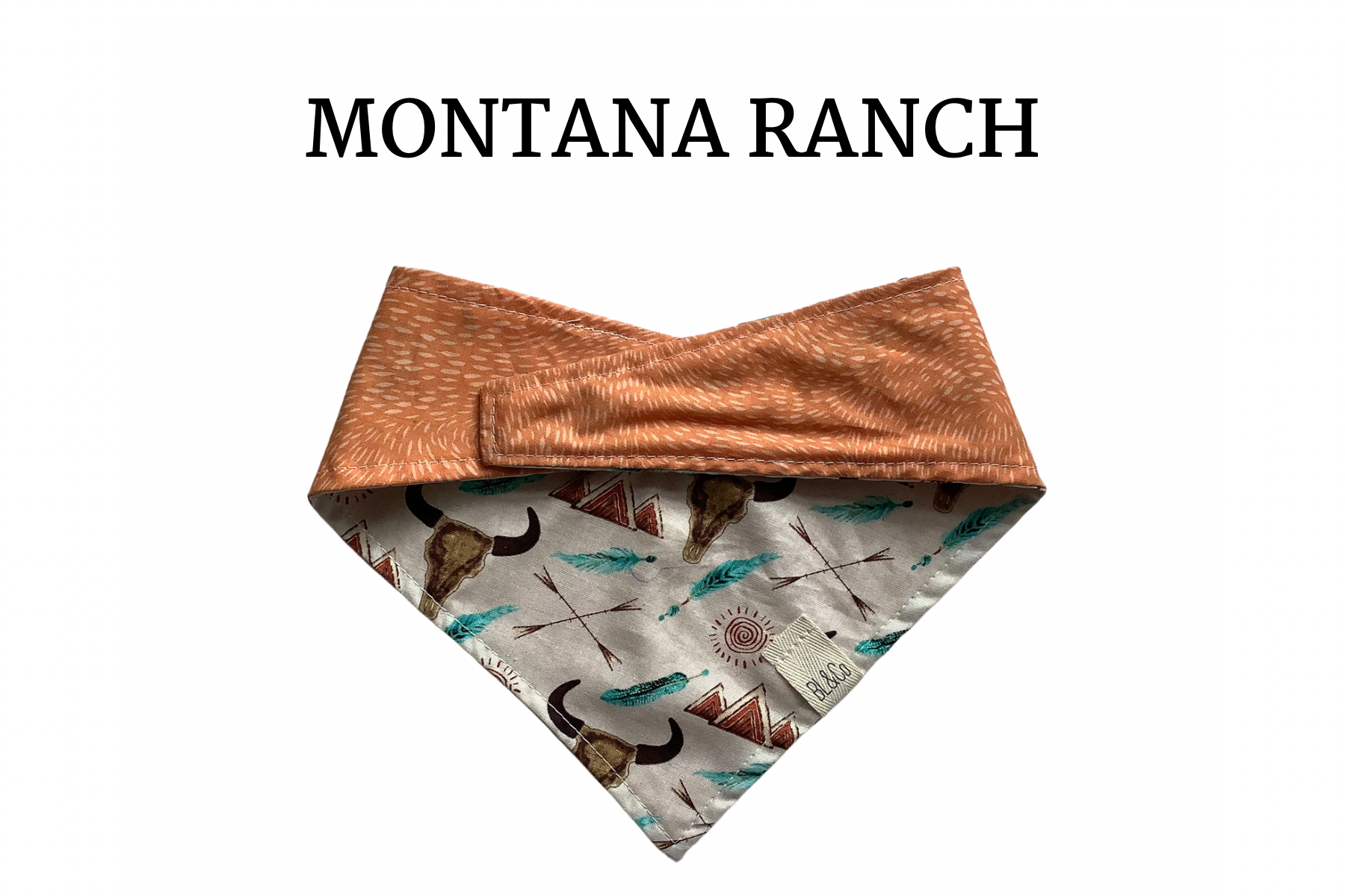 Longhorns with Feathers & Light Orange Reversible Tie/On Bandana ‘