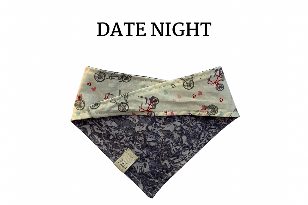 Bicycles with Hearts & Gray Reversible Tie/On Bandana