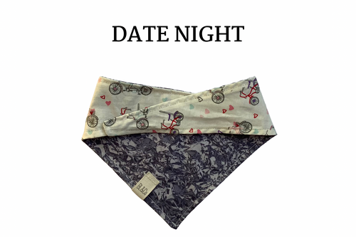 Bicycles with Hearts & Gray Reversible Tie/On Bandana