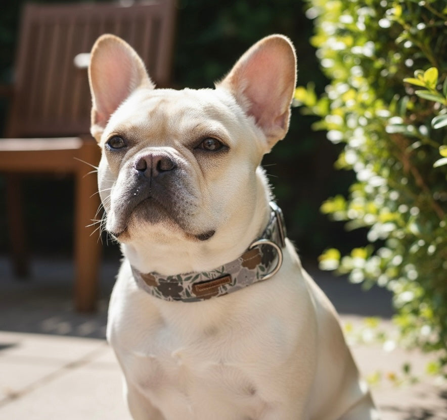 Large Brown + Gray Flowers Dog Collar [The Juniper]