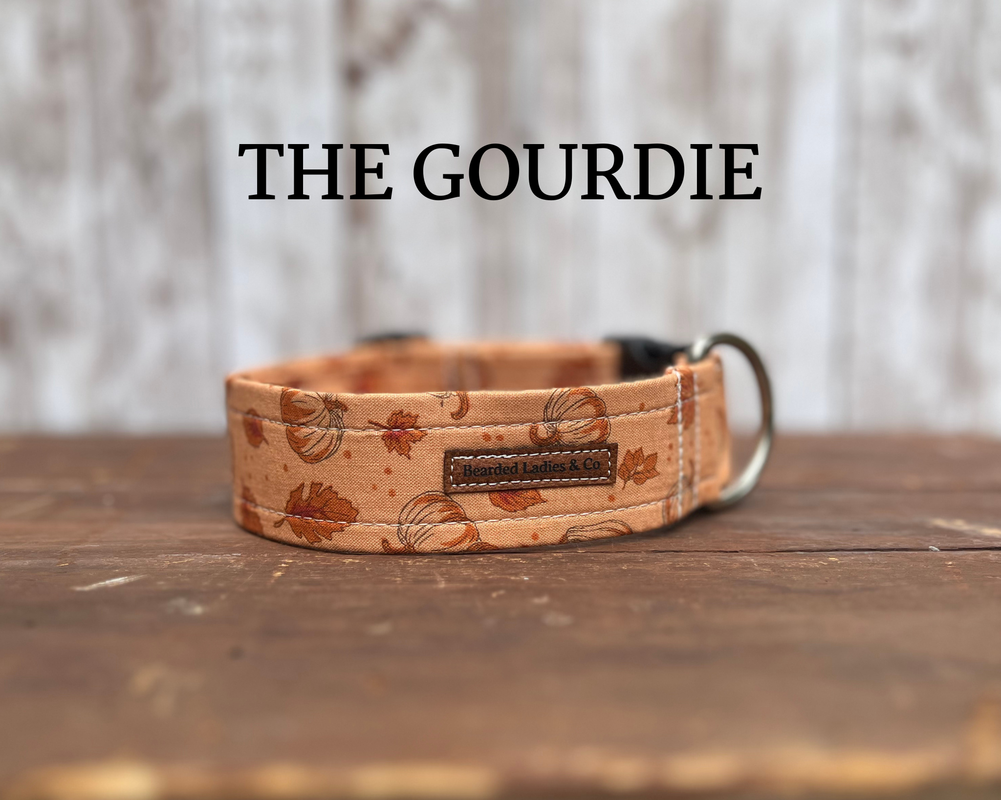 Pumpkins, Gourds + Leaves Dog Collar [The Gourdie]