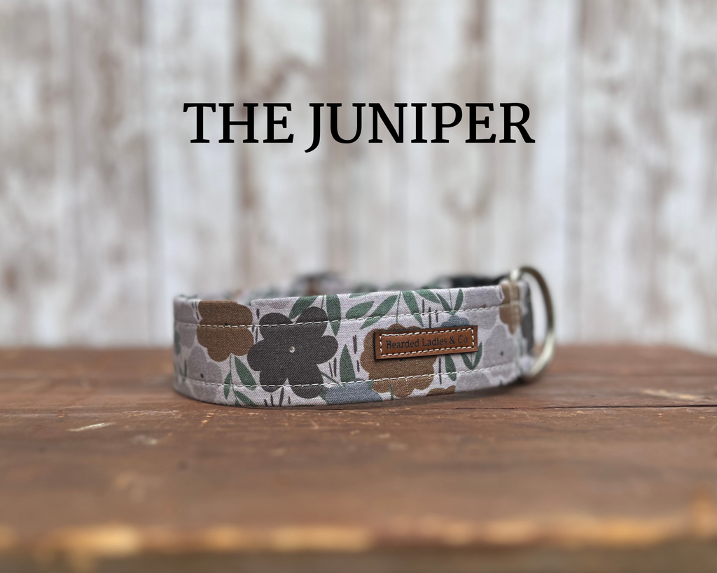 Large Brown + Gray Flowers Dog Collar [The Juniper]