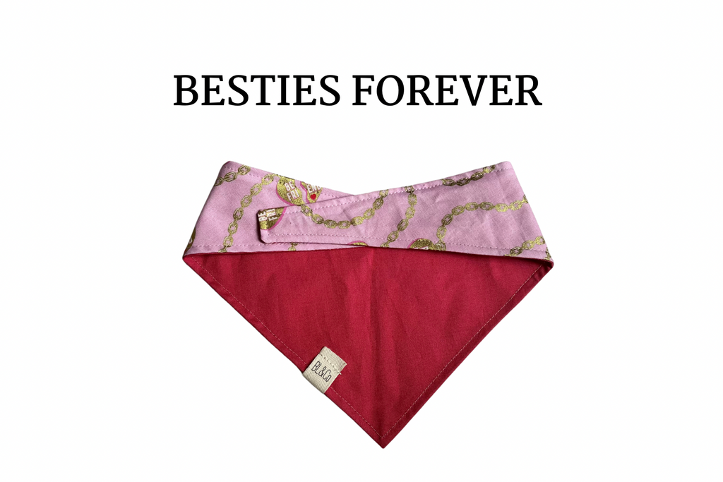 Pink Best Friend Necklace & Pink Reversible Tie/On Bandana