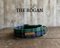 Green, Blue & Yellow Plaid Dog Collar