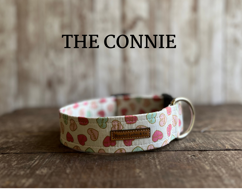 Valentines Conversation Hearts Dog Collar