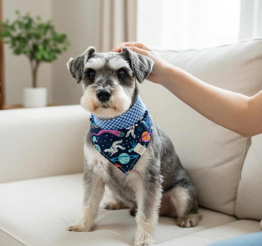 Space Icons + Blue Check Reversible Tie/On Bandana [Rocket Zoomies]