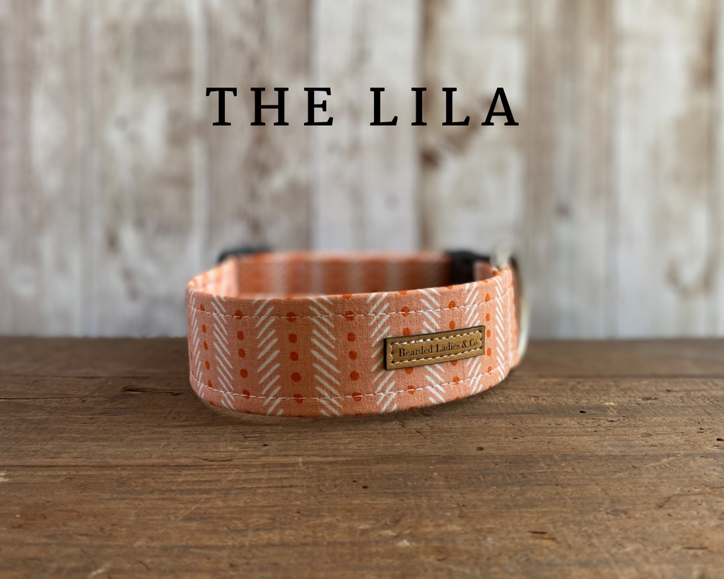 Salmon with Dark Coral Dots & Cream Stripes Dog Collar
