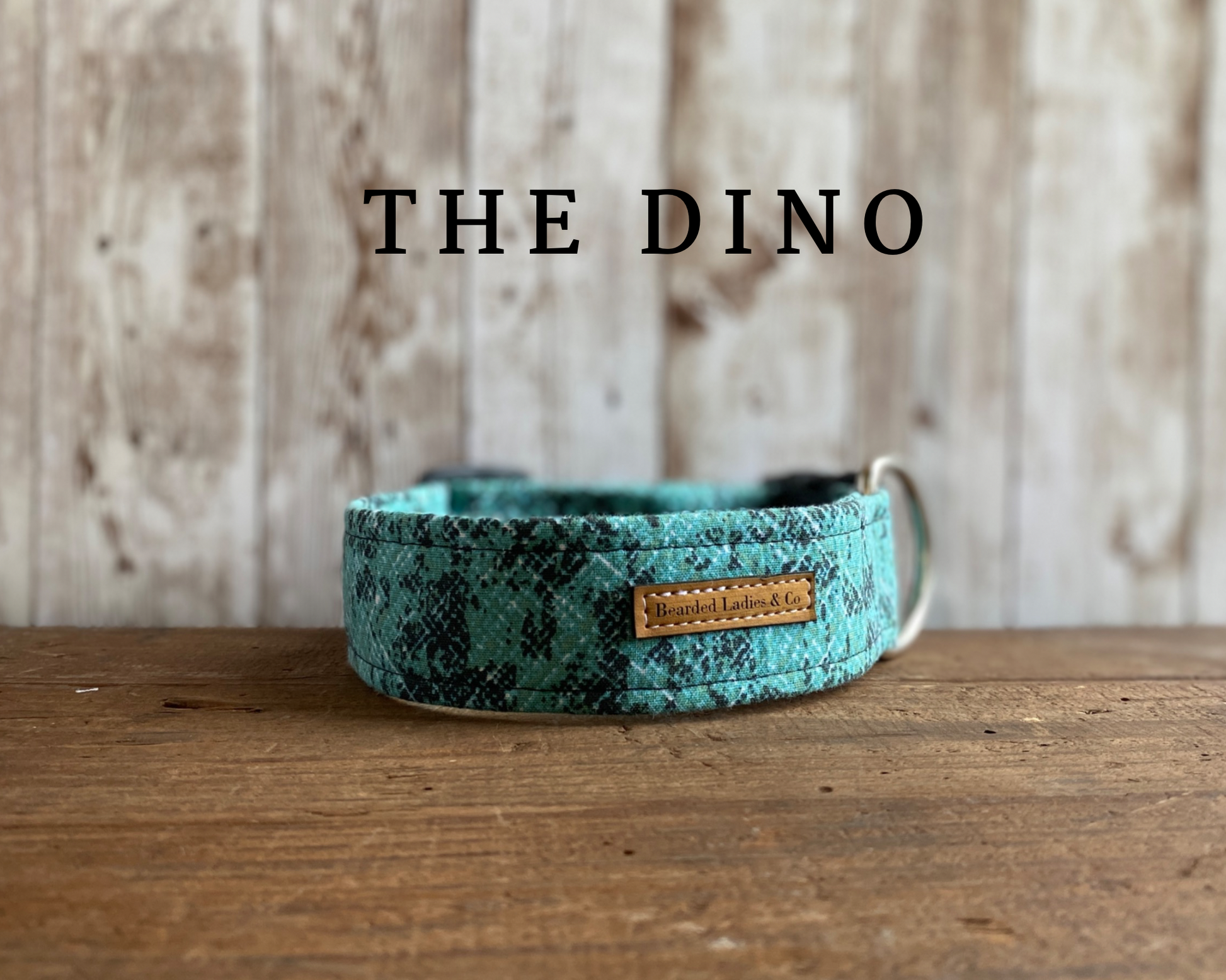 Dino best sale dog collar