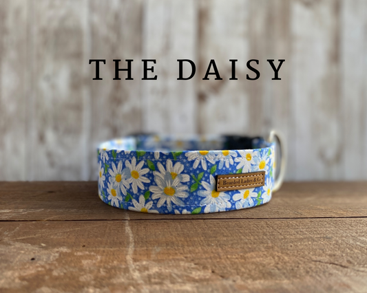 Light Blue with Beautiful Daisies & Polka Dots Dog Collar