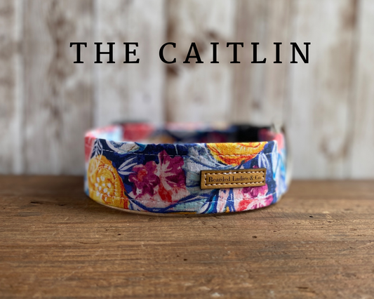 Pink, Yellow & Blue Floral Dog Collar