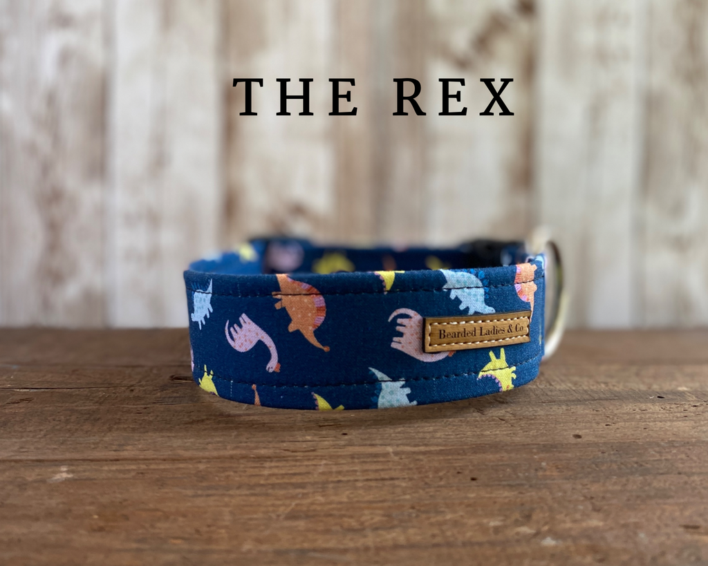 Multicolored Dinosaur Dog Collar*