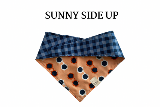 Sunglasses & Blue Plaid Reversible Tie/On Bandana