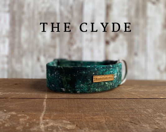 Dark Green with Gray Dog Collar