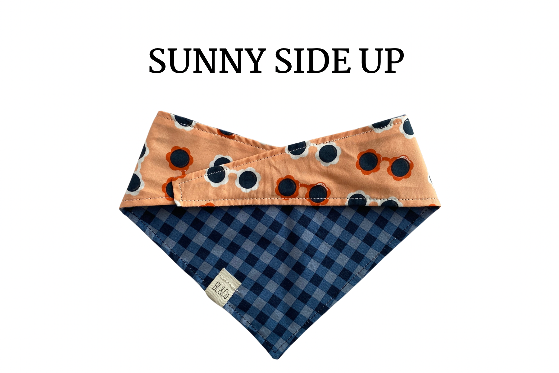 Sunglasses & Blue Plaid Reversible Tie/On Bandana